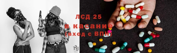 гидра Вязники