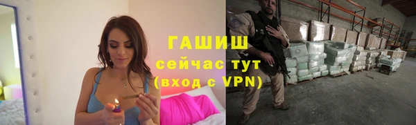 гидропоника Горняк