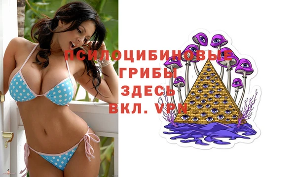 гидропоника Горняк