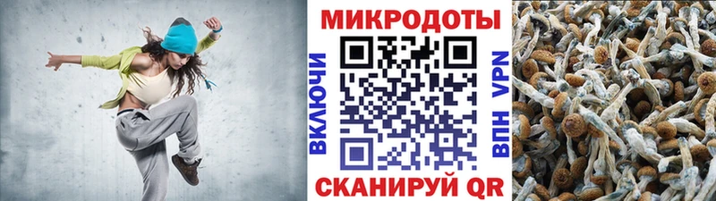 Псилоцибиновые грибы Cubensis  Таганрог 